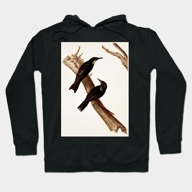 Birds on a Branch Hoodie by maxcode